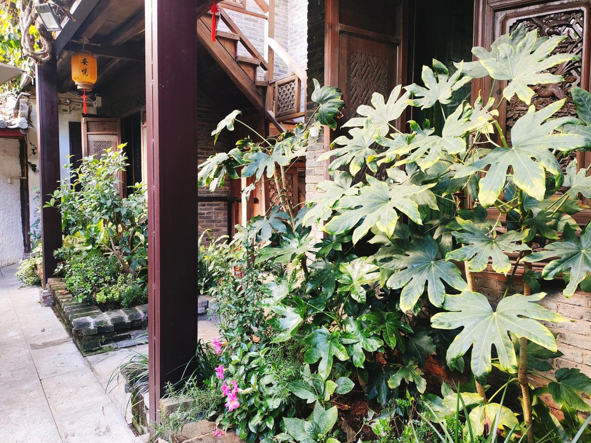 Big Tree Guesthouse - Naxi Old Style Lijiang  Eksteriør bilde