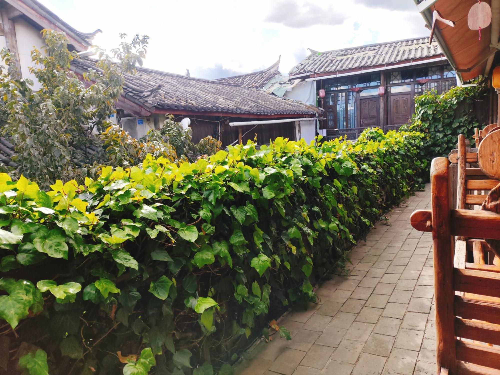 Big Tree Guesthouse - Naxi Old Style Lijiang  Eksteriør bilde